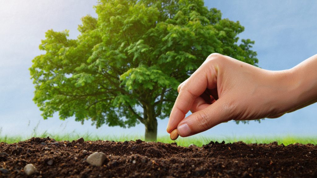 Come Gli Obiettivi Trasformano Il Tuo "Qui E Ora" Coltivare obiettivi crescita personale - piantare oggi per raccogliere domani pianificazione futuro